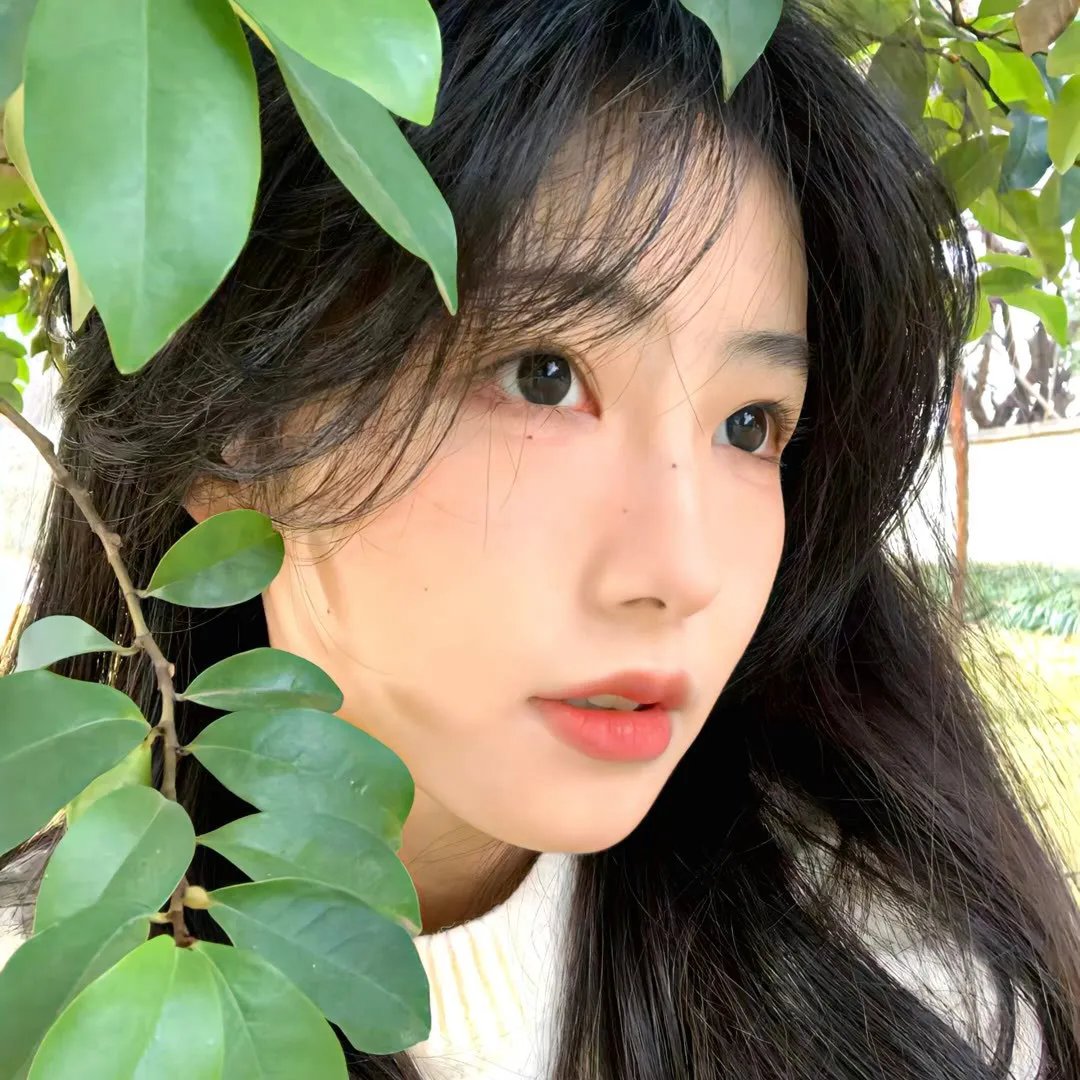 面纱